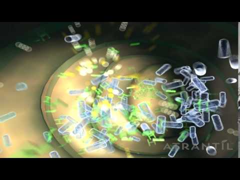 Learn How Atrantil Stops Methane Production