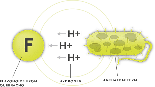 Get Rid of Bloating and Stomach Discomfort | How Atrantil Works