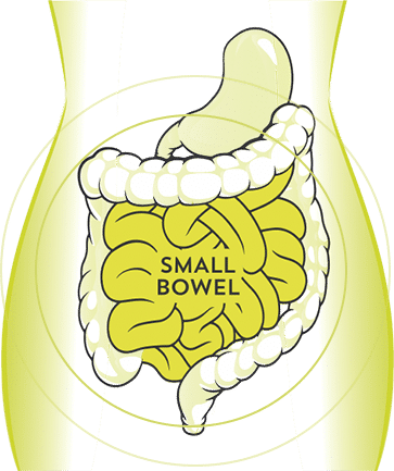 Smallbowel - Atrantil