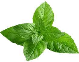 mint2