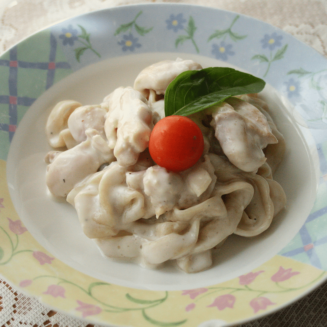 Shirataki Pasta Alfredo Atrantil