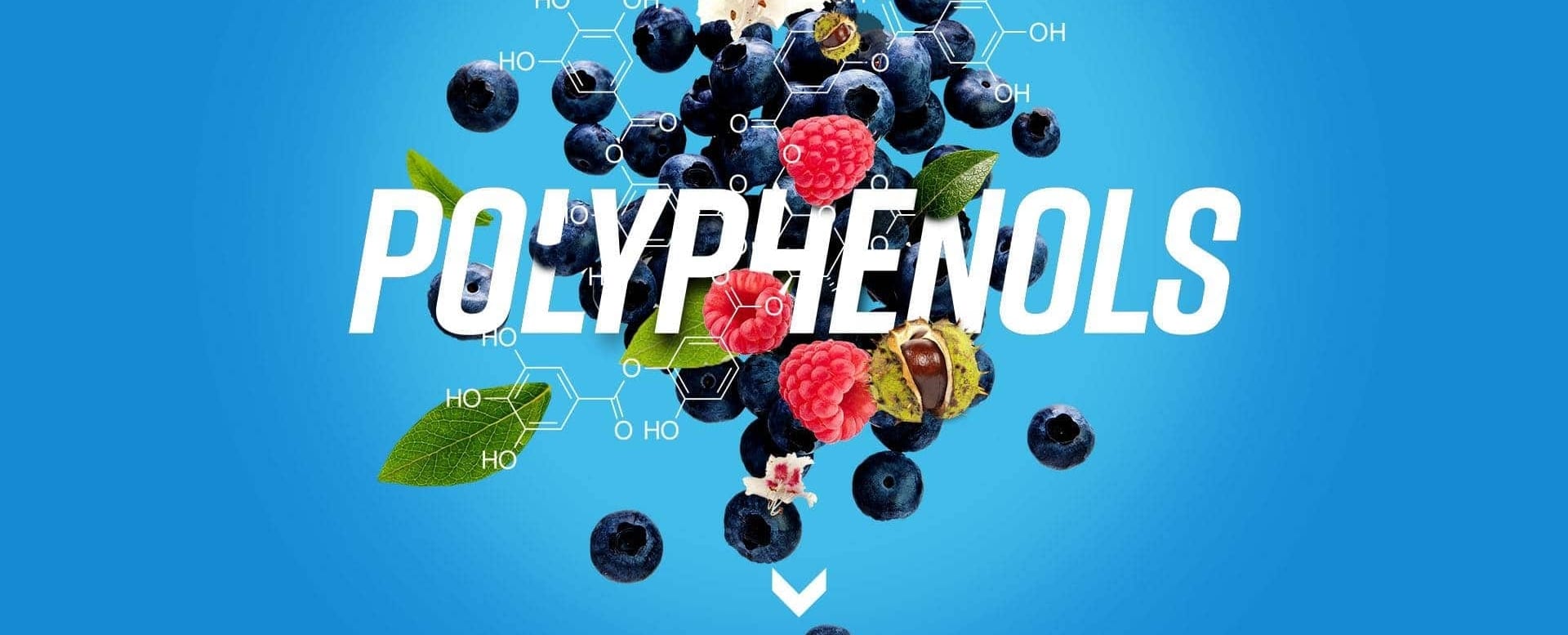 Polyphenols Atrantil