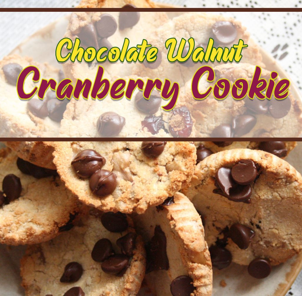 Holiday Chocolate Walnut Cranberry Cookies - Atrantil