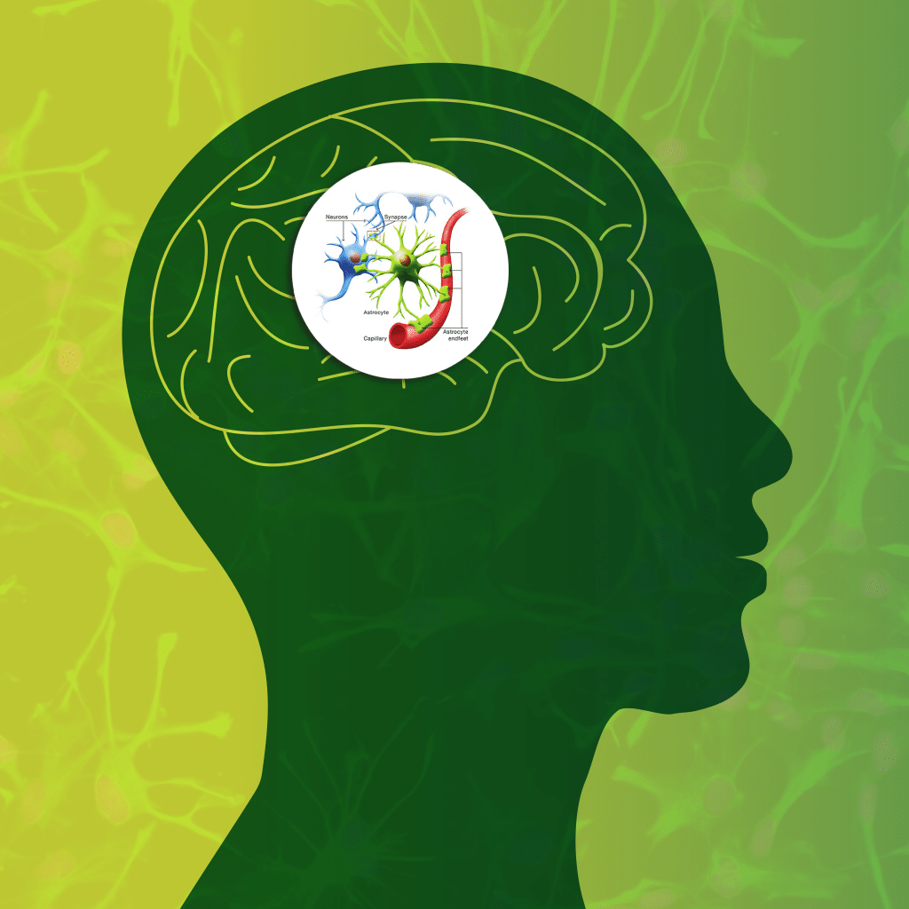Fight Inflammation Naturally GutDerived Brain Protection Blog