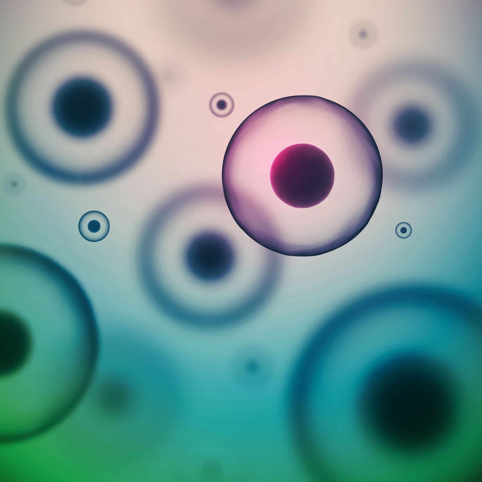 Cancer Cells