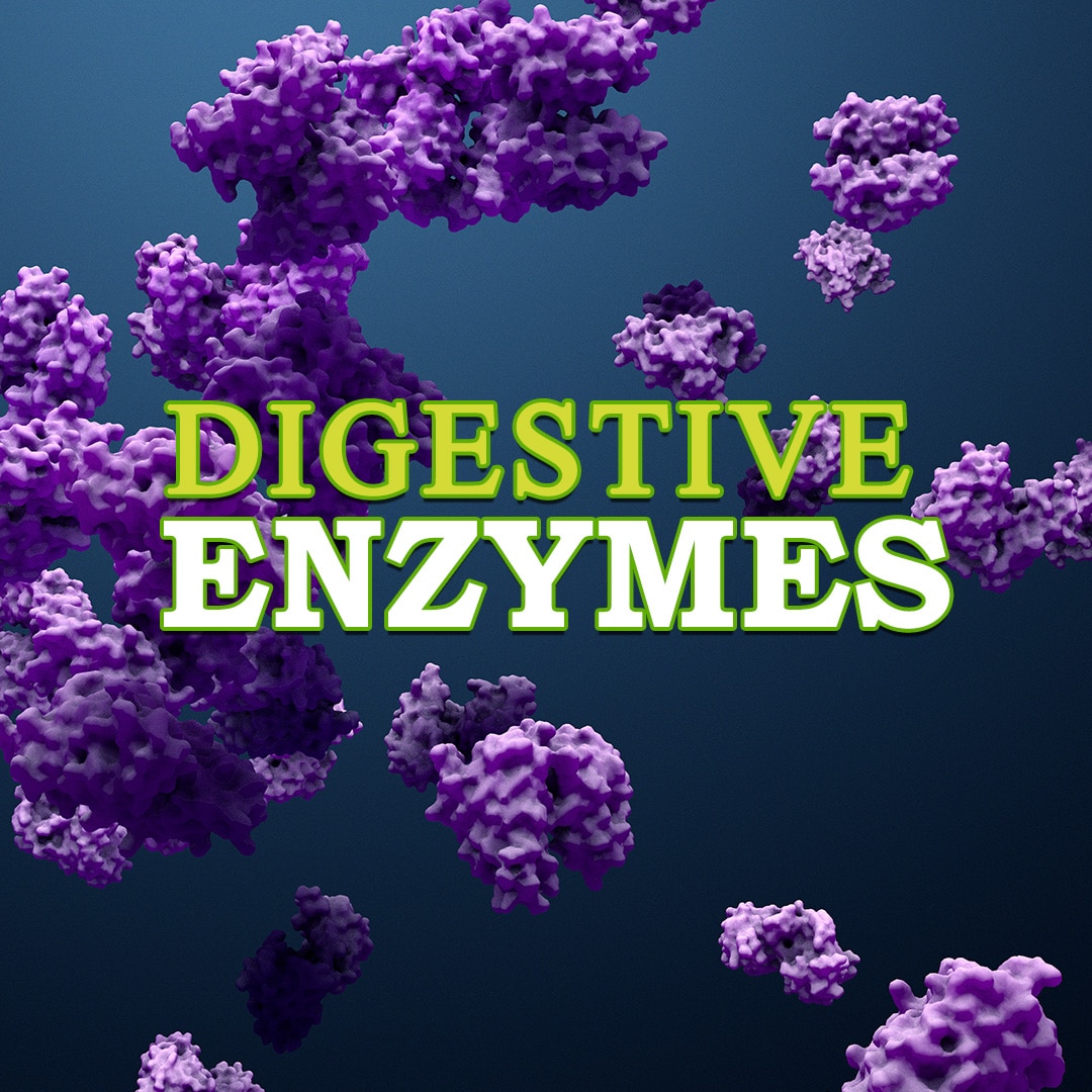 Digestive Enzymes - Atrantil