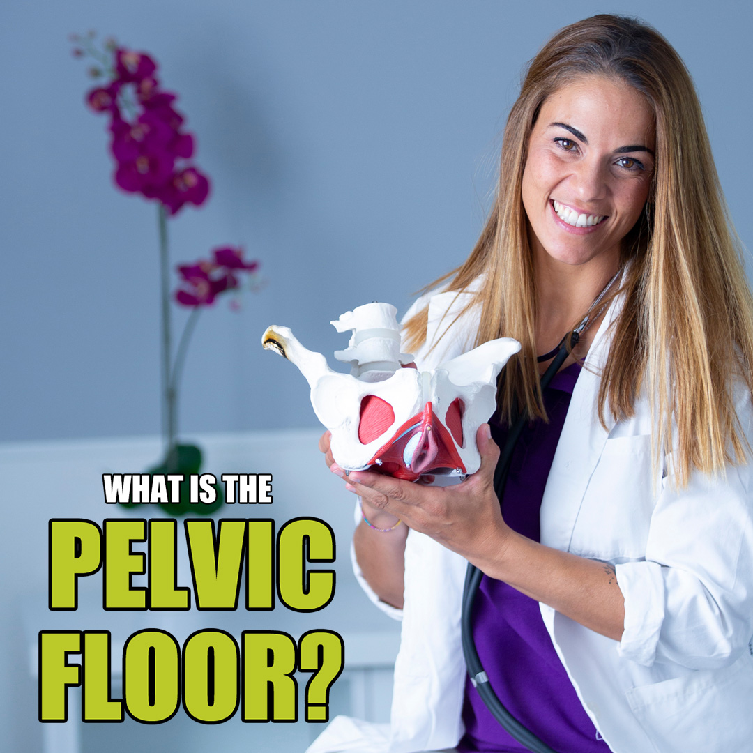 What is the pelvic floor and why is it important? - Atrantil