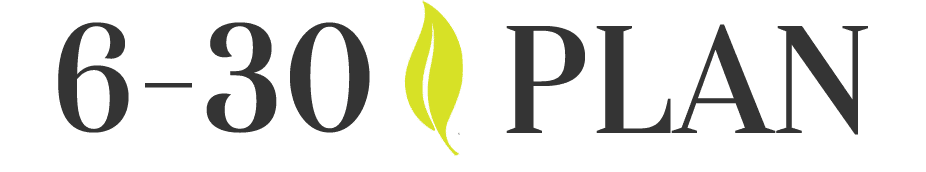 6-30 Plan Logo B