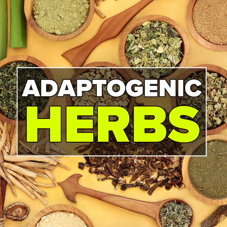 Adaptogenic Herbs