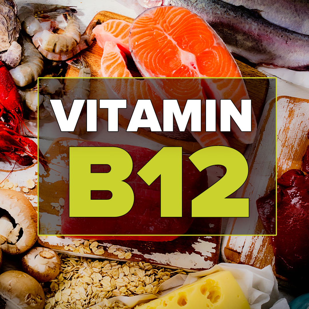 Vitamin B12 And The Gut Microbiome Atrantil