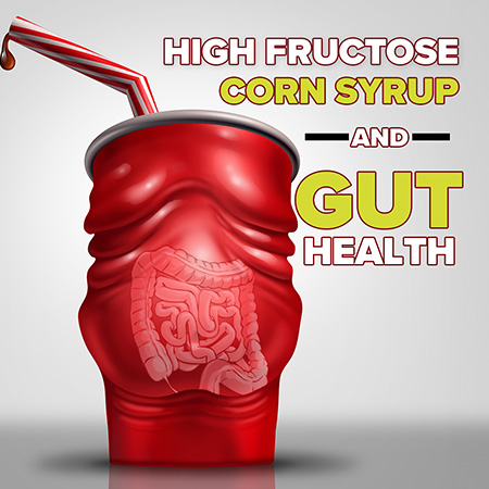 High Fructose Corn Syrup and Gut Health