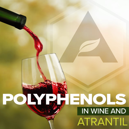 Polyphenols in Wine and Atrantil that Help Your Health