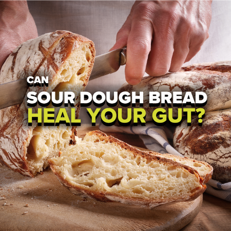 Sour Dough Bread heal your gut?