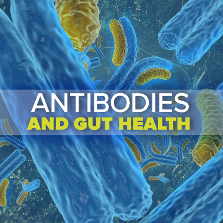 Antibodies and Gut Health
