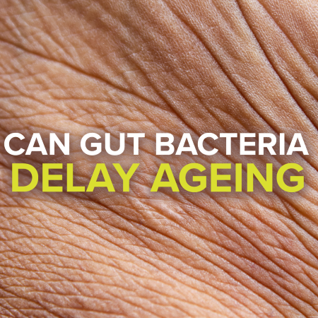 Can Gut Bacteria Delay Ageing