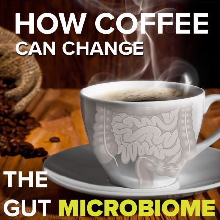How Coffee Can change the gut microbiome