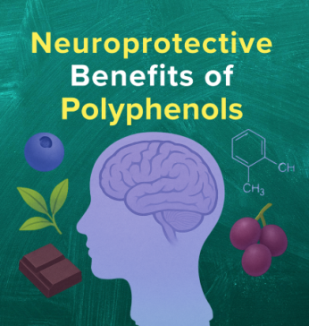 Neuroprotective Benefits of Polyphenols