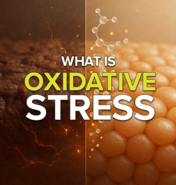 What is oxidative stress?