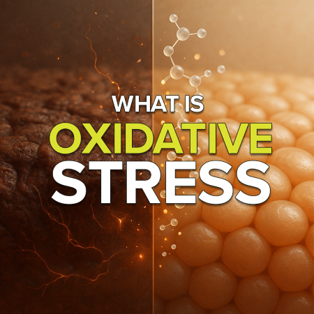 What is oxidative stress?